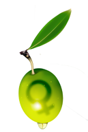 evoo-olive